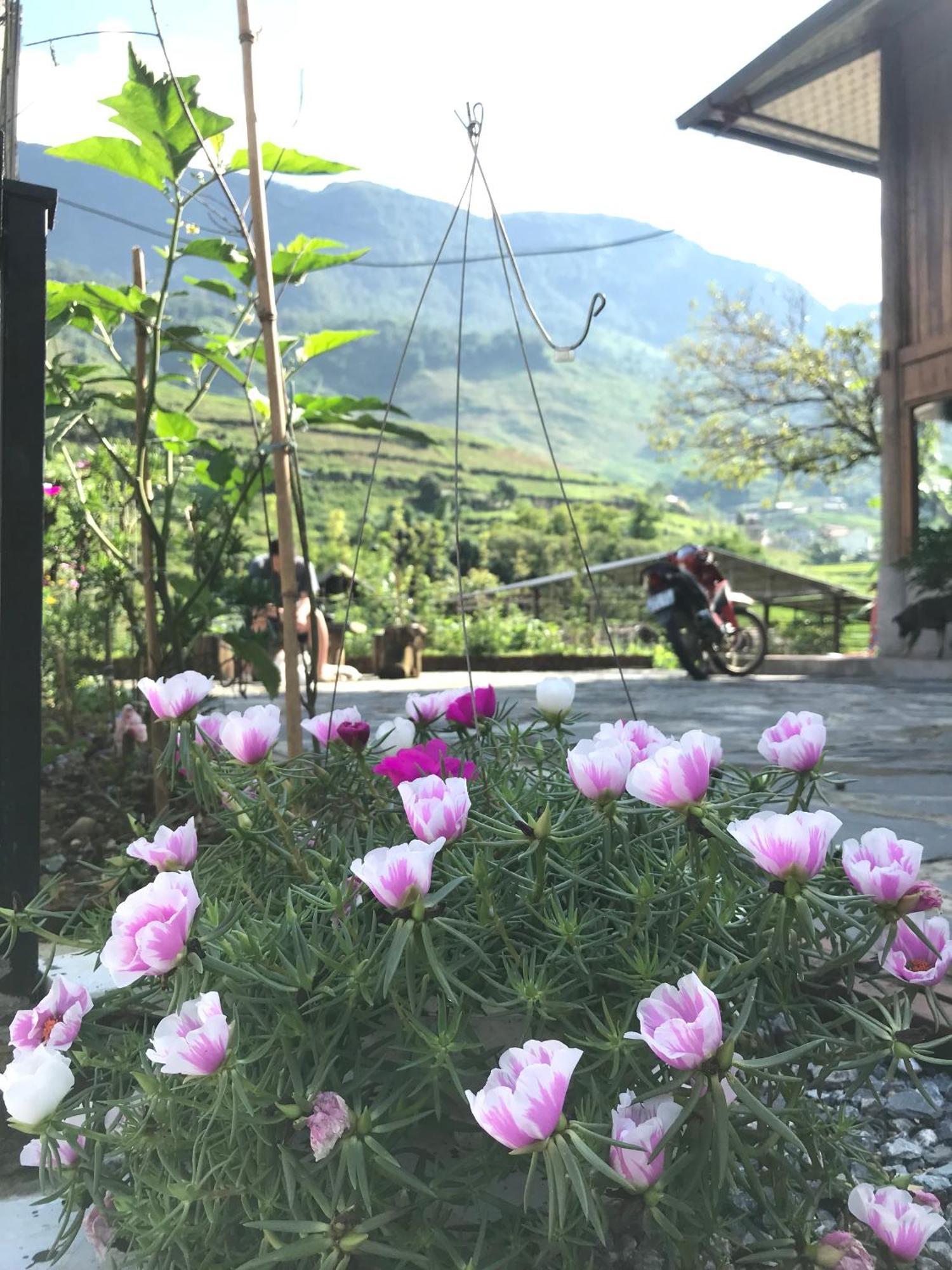 Little Ta Van Homestay Sapa Exterior foto